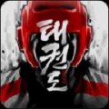 全球跆拳道大赛免费版(解锁完整) V1.3.54225714 安卓版