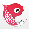 小鲤鱼育儿 V3.0 