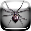 蜘蛛恶作剧 V1.0 iPhone版