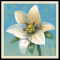 心灵花园 V2.13 安卓版