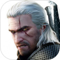 巫师竞技场(The Witcher Battle Arena) V1.0.0 安卓版