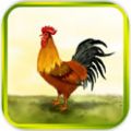 疯狂小鸡 V1.0.1 安卓版