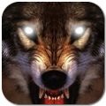 ǵ2014(Life Of Wolf 2014) V1.5 ׿
