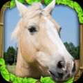 野马模拟器(horse sim) V1.0 安卓版