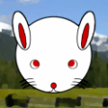 触摸兔子 RabbitTouch V1.1.2 安卓版