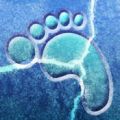 地震逃生与救援便携手册 V1.0 ios版
