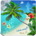 Beach Live Wallpaper Pro(漂亮海滩) V2.5.0 安卓版