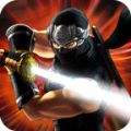 忍者刀魂 V1.0.05 安卓版