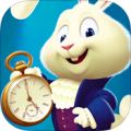 奇迹球英雄(Wonderball Heroes) V0.800 安卓版