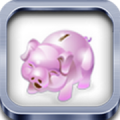 掌上记账本 V1.9.7 安卓版