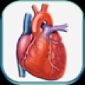 血压计 Blood Pressure PRO V1.2.1 安卓版