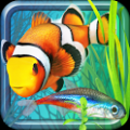 养鱼场2(Fish Farm 2) V1.2.6 (GP)安卓版