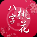 2014桃花运 V1.3.0 安卓版