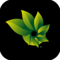 全景照片合成器 Photosynth V1.6.2