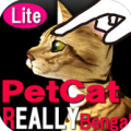 孟买猫-触摸式宠物3D猫 逼真 免费版-Bengal Petting cat lite V3.6