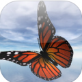 蝴蝶万事通 Butterflies V1.1