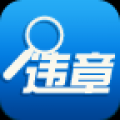 违章 V3.1 安卓版