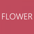花卉壁纸 FLOWER WALLPAPERS V1.0