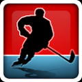 魅力曲棍球 Magnetic Sports Hockey V1.6.6