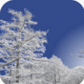 冬日飘雪动态壁纸 Winter Mountain V1.3