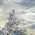 雪花松树动态壁纸 Snowfall LiveWallpaper V1.1