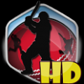 口袋板球2014(Box Cricket 2014 HD) V1.0 安卓版