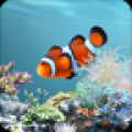 水族馆动态壁纸 Aquarium Live Wallpaper V2.3.24