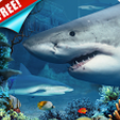 海底鲨鱼动态壁纸 Shark Reef Live Wallpaper Free V1.10