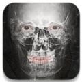 X射线相机 X-Ray Camera V12.0