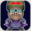 疯狂小猪 Crazy Piggy V1.0