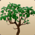 家谱 Family Trees V1.5.6