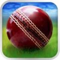 3D板球世界杯 3D Cricket WorldCup Fever V2.5