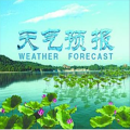 天气预报 WPWeather V1.0 wp版