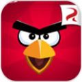 愤怒的小鸟之黑鸟来袭(Angry Birds) V4.1.0 安卓版