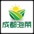 成都泡菜 V1.0 安卓版