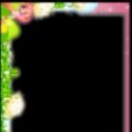 大头贴拍照软件 cameras avatar