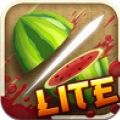 水果忍者切水果(Fruit Ninja) V1.0 机率增加版