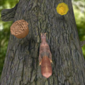 松鼠 3D Squirrel V1.0.0.0