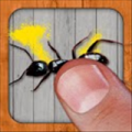 打蚂蚁(Ant Smasher) V5.8 安卓版