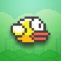 Flappy Bird叉叉助手 V1.0.0 