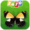 看图识昆虫 V1.1.0 安卓版