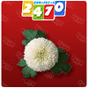 看图学植物 V1.0.0 安卓版