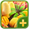 食物相宜相克手册 V1.20 安卓版