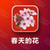 春天的花 V1.1.0 安卓版