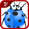 战虫争霸 V1.0 安卓tv版