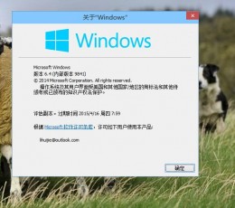 Win10去水印工具 V1.0.1 绿色版