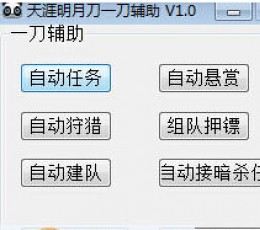 天涯明月刀一刀辅助 V1.0 绿色免费版