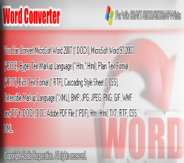 Word 转换器 V5.0 试用版