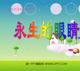 《永生的眼睛》PPT课件