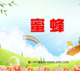 《蜜蜂》PPT课件